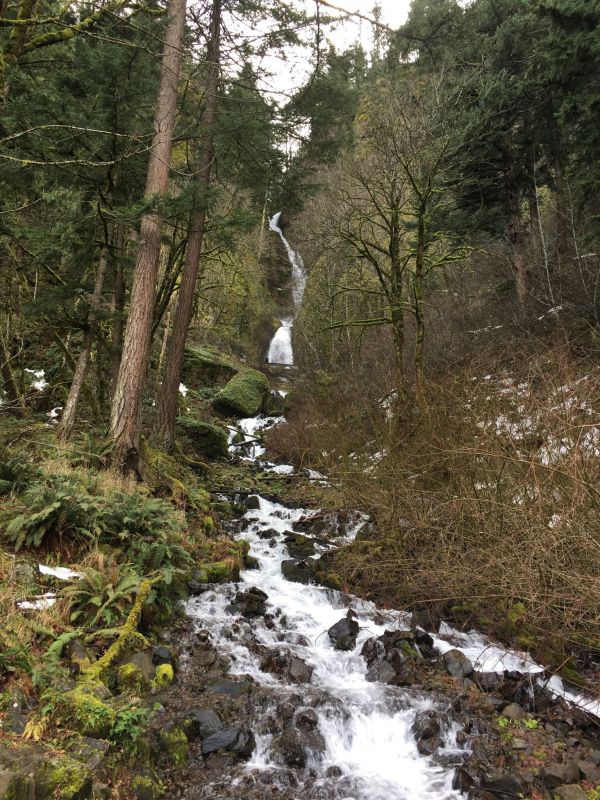 Wahkeena Falls, Near Portland, Oregon