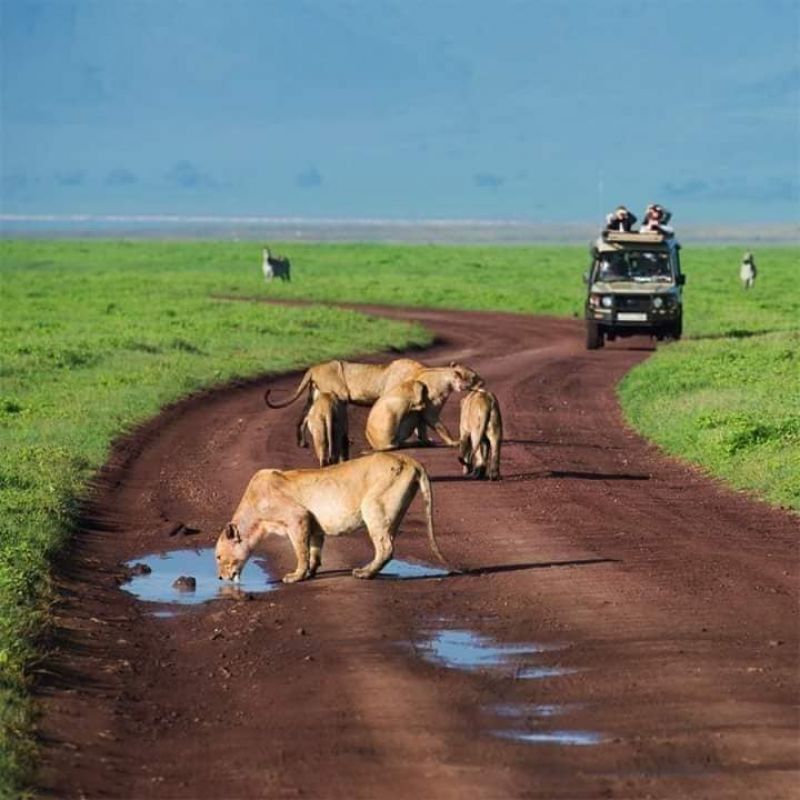 Ngorongoro crater 